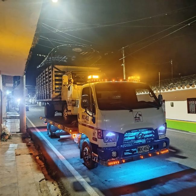 TM GRUAS