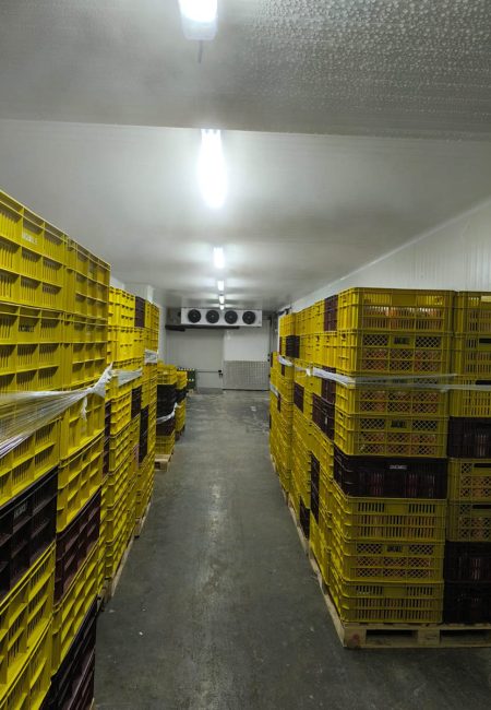 MAS FRÍO LOGISTICA Y TRANSPORTE SAS