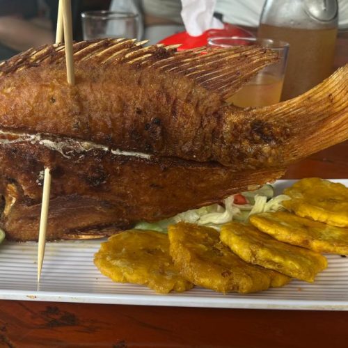PARRILLA Y CARBON EL TIGRILLO