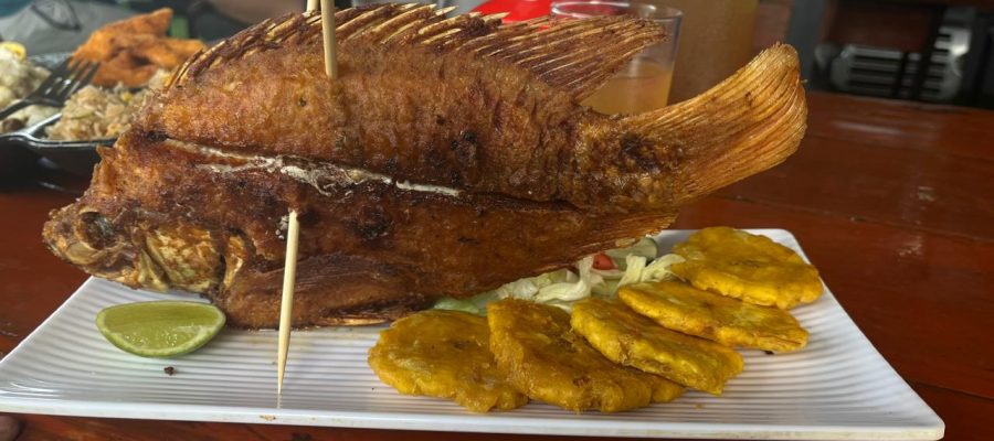 PARRILLA Y CARBON EL TIGRILLO
