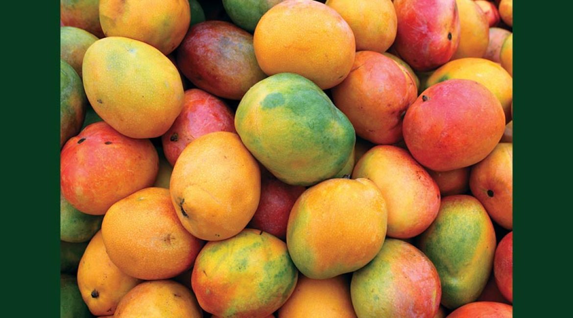 DISTRIBUIDORA CUBILLOS LC FRUTAS Y VERDURAS