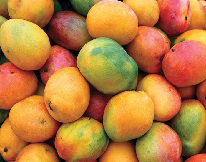 DISTRIBUIDORA CUBILLOS LC FRUTAS Y VERDURAS