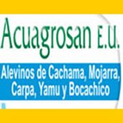 acuagrosan
