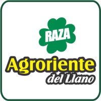 AGRORIENTE DEL LLANO