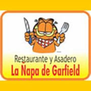 asaderogarfield_banner