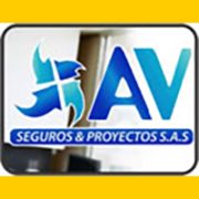 avsegurosyproyectos_banner