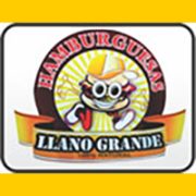 banerLLANOGRANDE