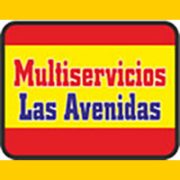 bannerLASAVENIDAS