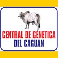 banner_centralgenetica