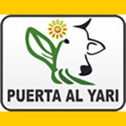 banner_puertadelyari