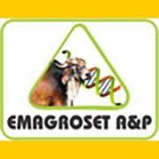 banneremagroset