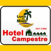 bannerhotelcampeste