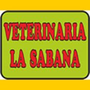 bannerlasabana