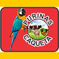 bannerpurinascaqueta