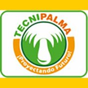 bannertecnipalma