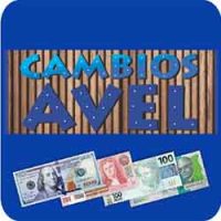 PROFESIONALES EN CAMBIOS AVEL