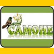 camohe_banner