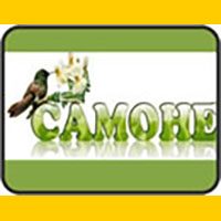 camohe_banner