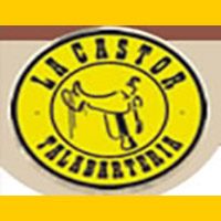castor_banner