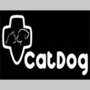 catdog BANNER
