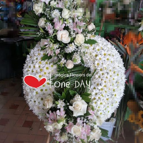 MAGICS FLOWERS
