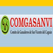 congasanvi