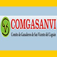 congasanvi