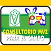 consultoriomvz_baner