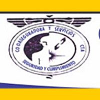 cooaseguradora_banner