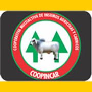 coopincar_baner