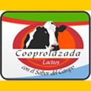 cooprelazadabanner-1