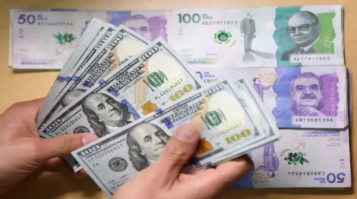 PROFESIONALES EN CAMBIOS AVEL