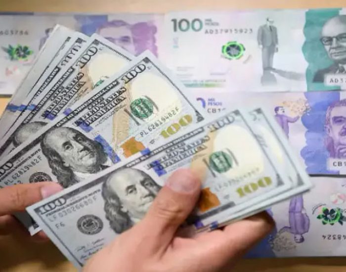 PROFESIONALES EN CAMBIOS AVEL