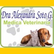 draalexandra_soto_g_veterinaria_banner-1