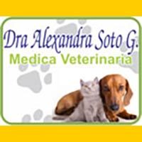draalexandra_soto_g_veterinaria_banner-1
