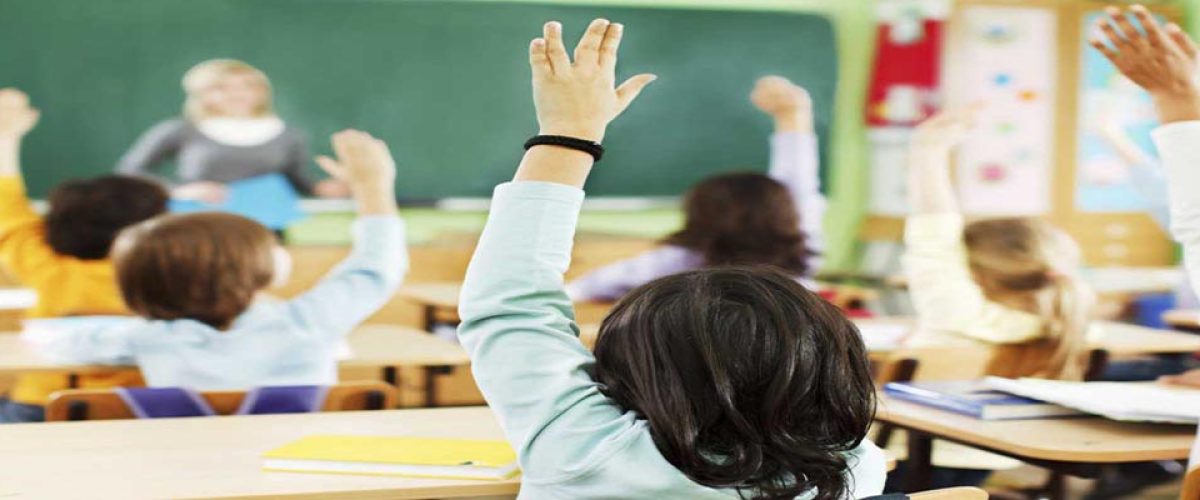 seccion educacion