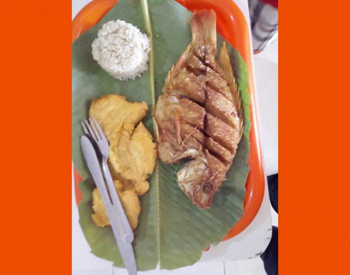 RESTAURANTE EL BOCACHICO SINUANO
