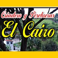 elcairoBANNER