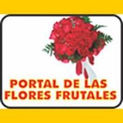 elportaldelasflores_baner.jpg