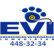 evi_logo