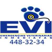 evi_logo