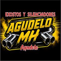EXOSTOS Y SILENCIADORES AGUDELO MH