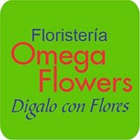 FLORISTERIA OMEGA FLOWERS