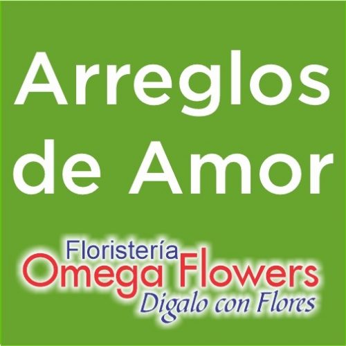 floristeria omega_amor
