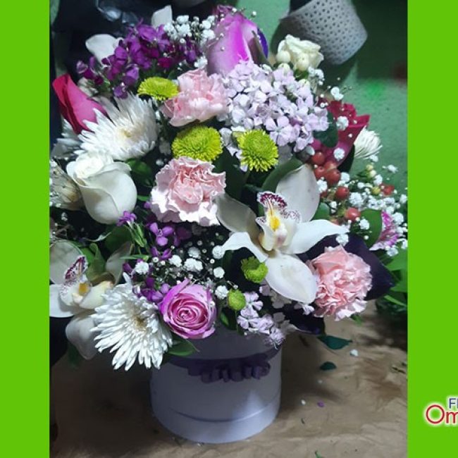 floristeria omega_cumpleaños 19
