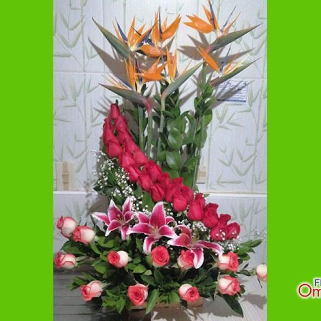 floristeria omega_cumpleaños 21