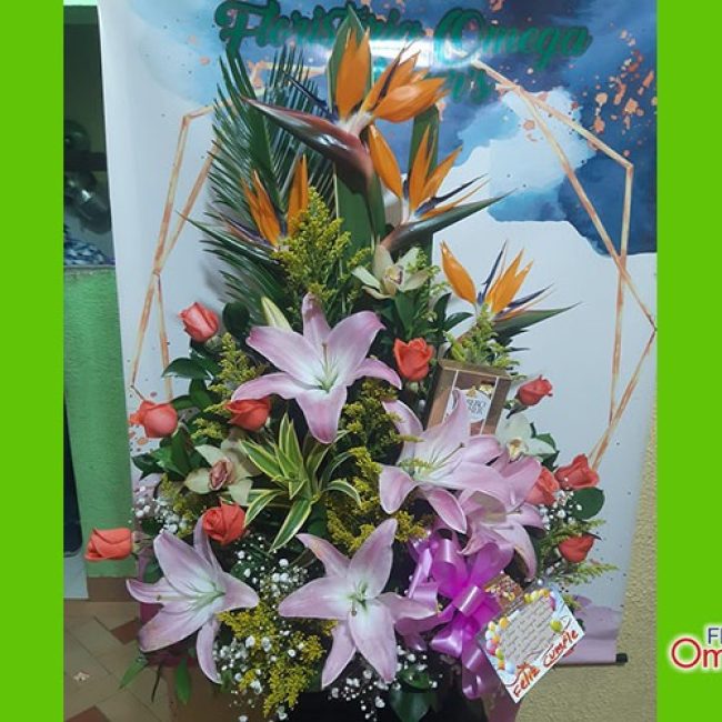 floristeria omega_cumpleaños 22