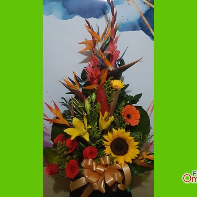 floristeria omega_cumpleaños 24
