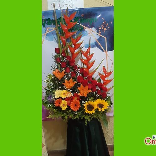 floristeria omega_cumpleaños 5