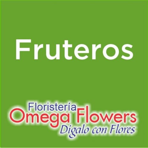 floristeria omega_fruteros